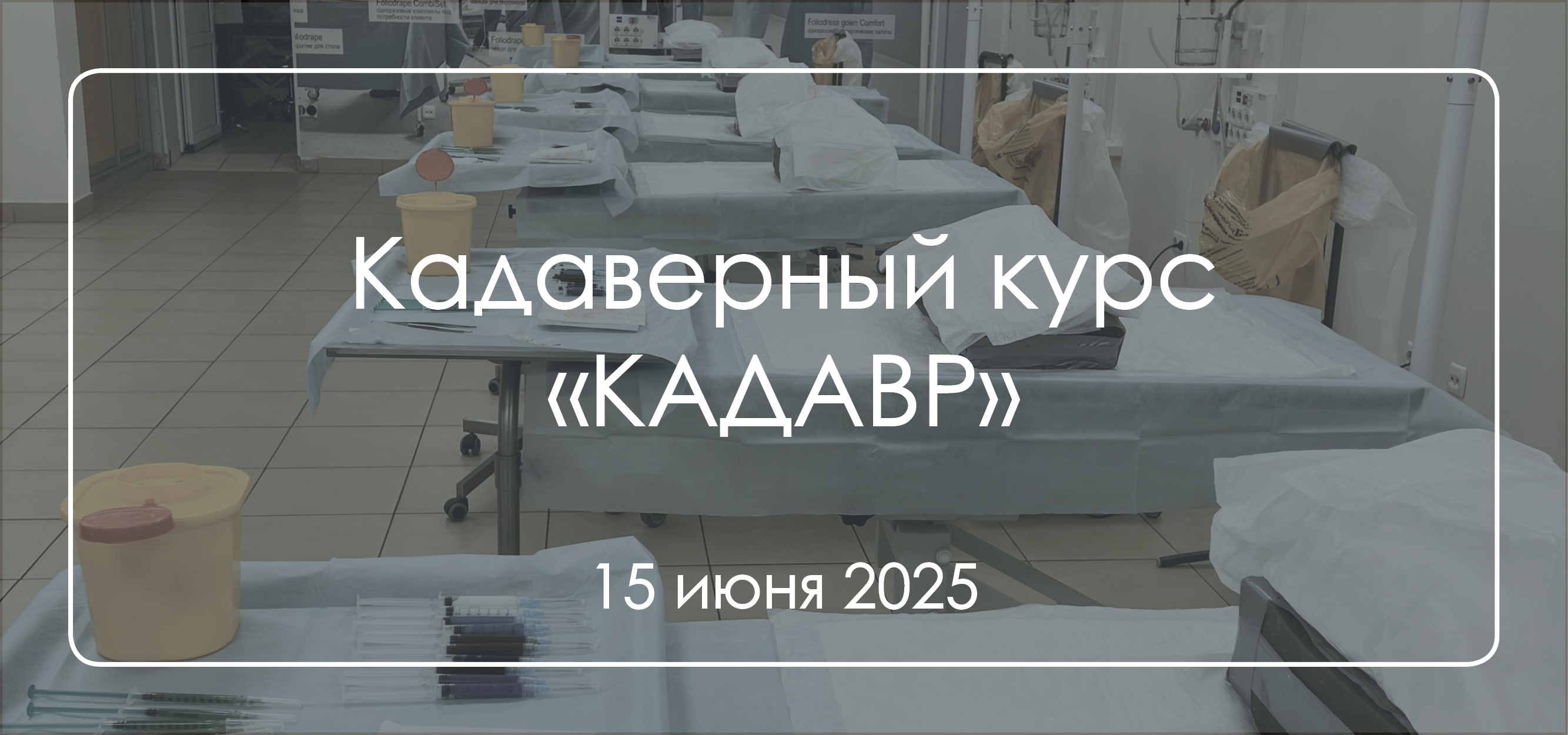 Кадаверный курс «КАДАВР»
