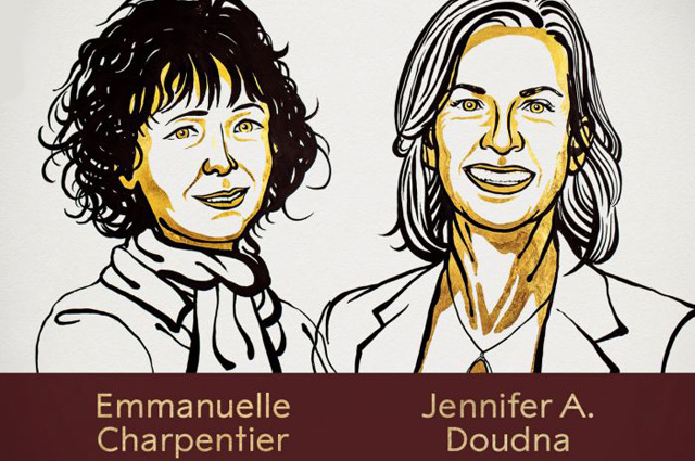 Нобелевскую премию по химии получили создательницы «генетических ножниц»