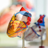 Электрические кровеносные сосуды вылечат болезни сердца